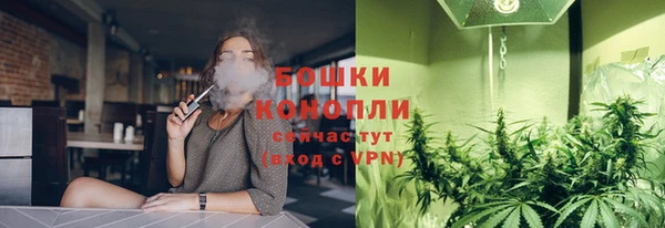хмурый Белокуриха