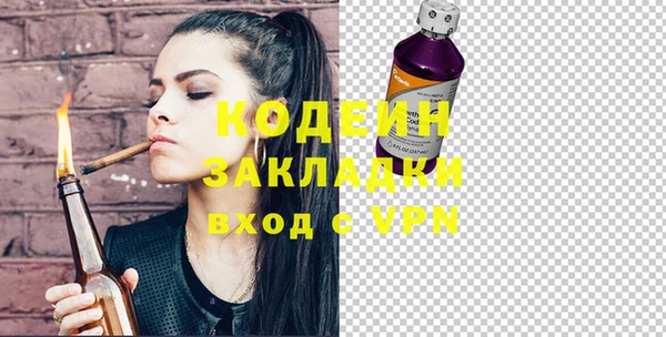 хмурый Белокуриха