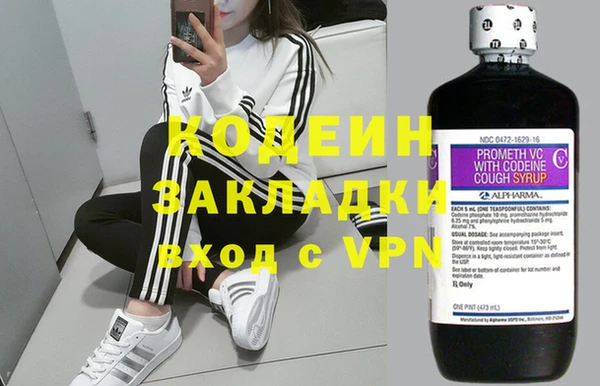 хмурый Белокуриха