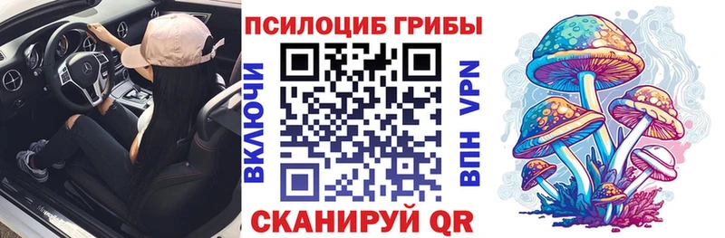 Псилоцибиновые грибы мицелий  Невель 
